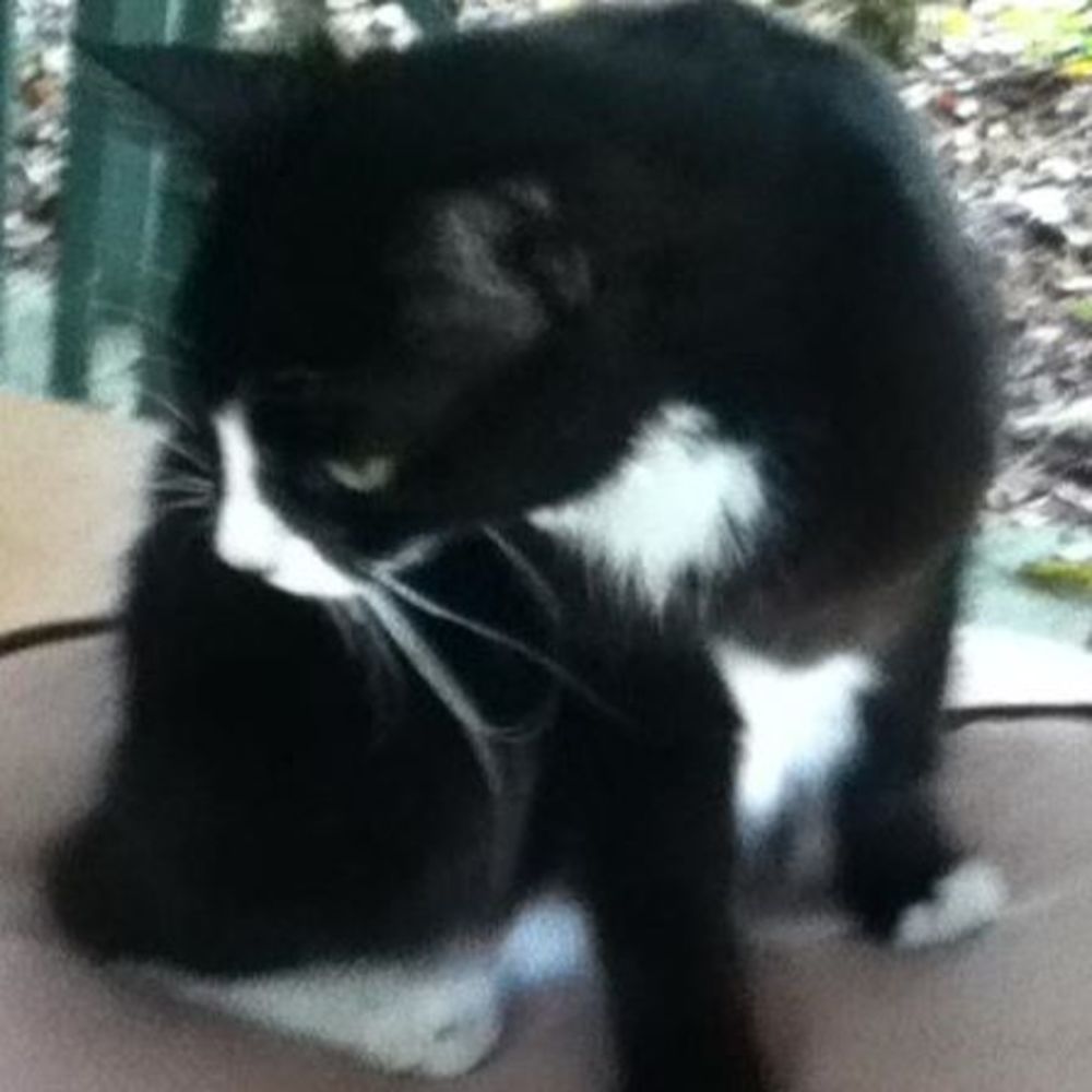 Meet your Posher, Conor